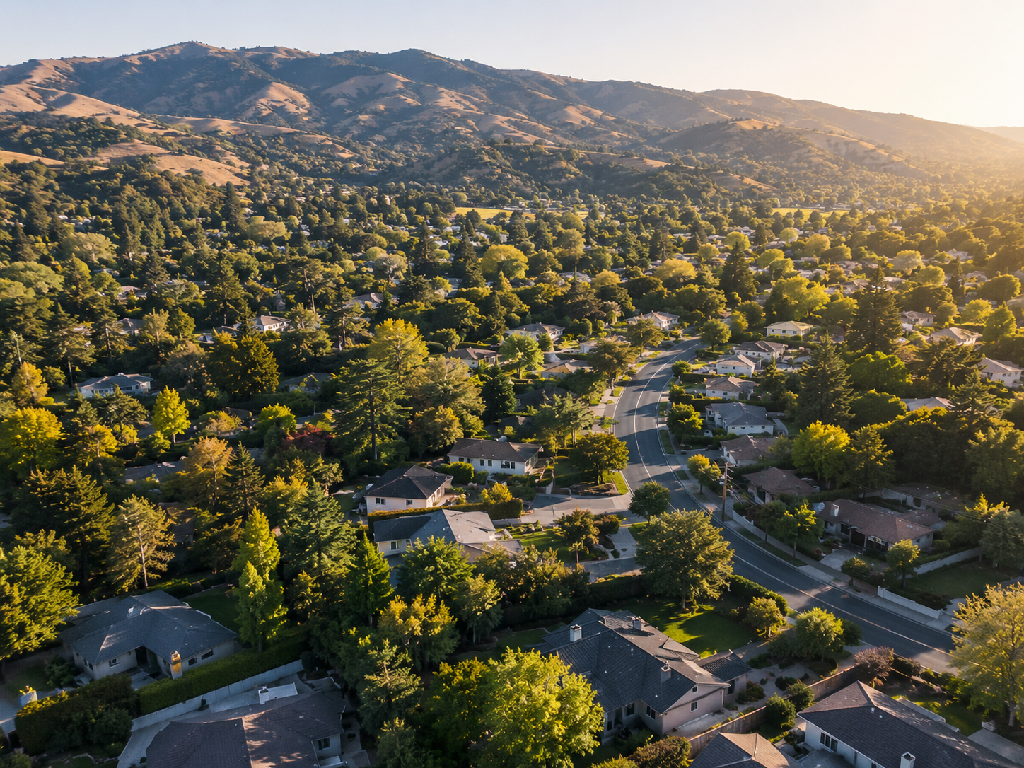 Lafayette neighborhood aerial view